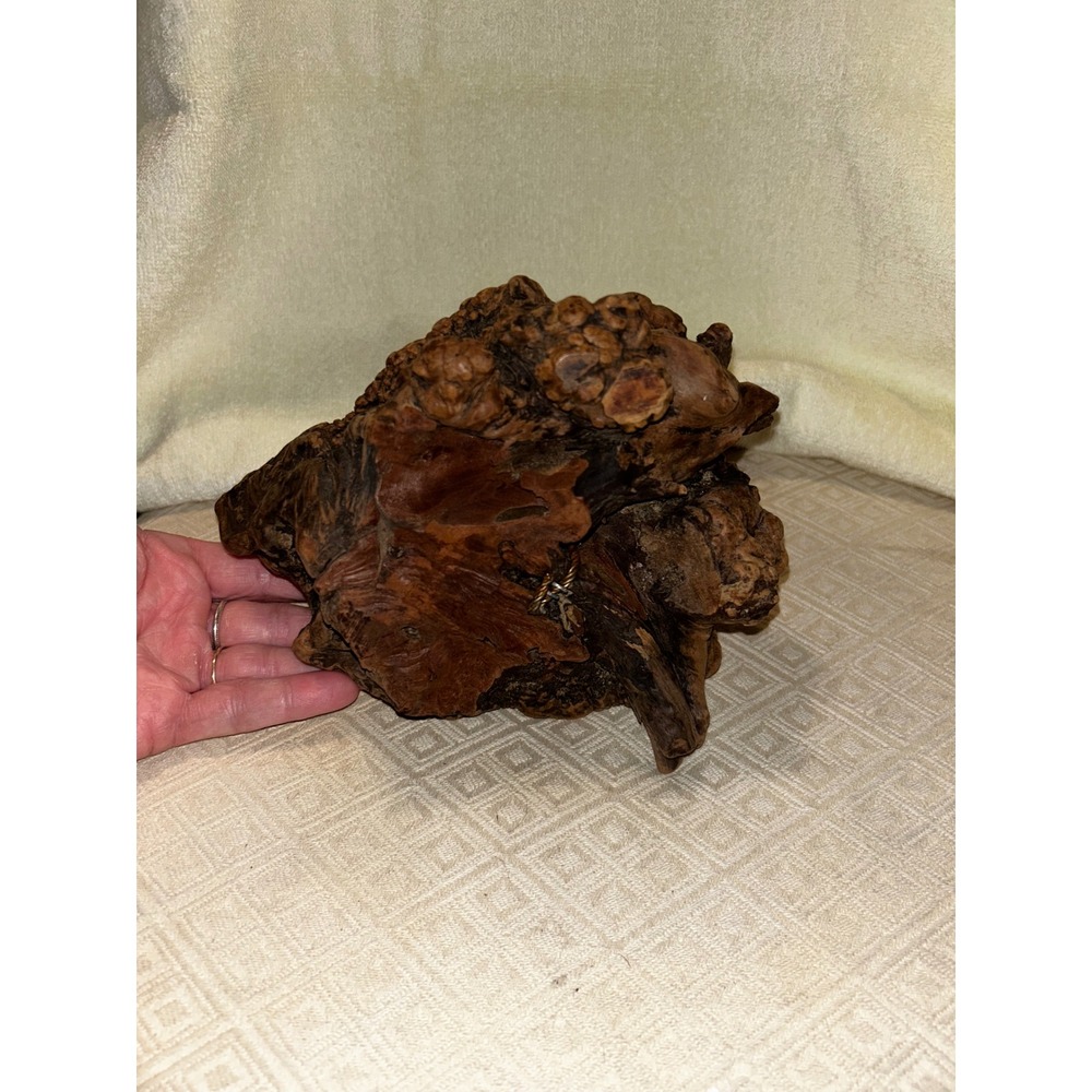 Vintage Orange Lucite Grapes on Burl Wood MCM Retro Acrylic Fruit Decor - Picture 4 of 7
